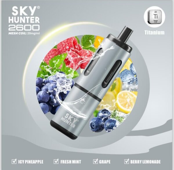 4 In 1 Sky Hunter 2600 Puffs Disposable Vape Pod Kit Theno1Plugshop 164003 2090Afd6 464D 4Ca5 9A05 7437043F25F9