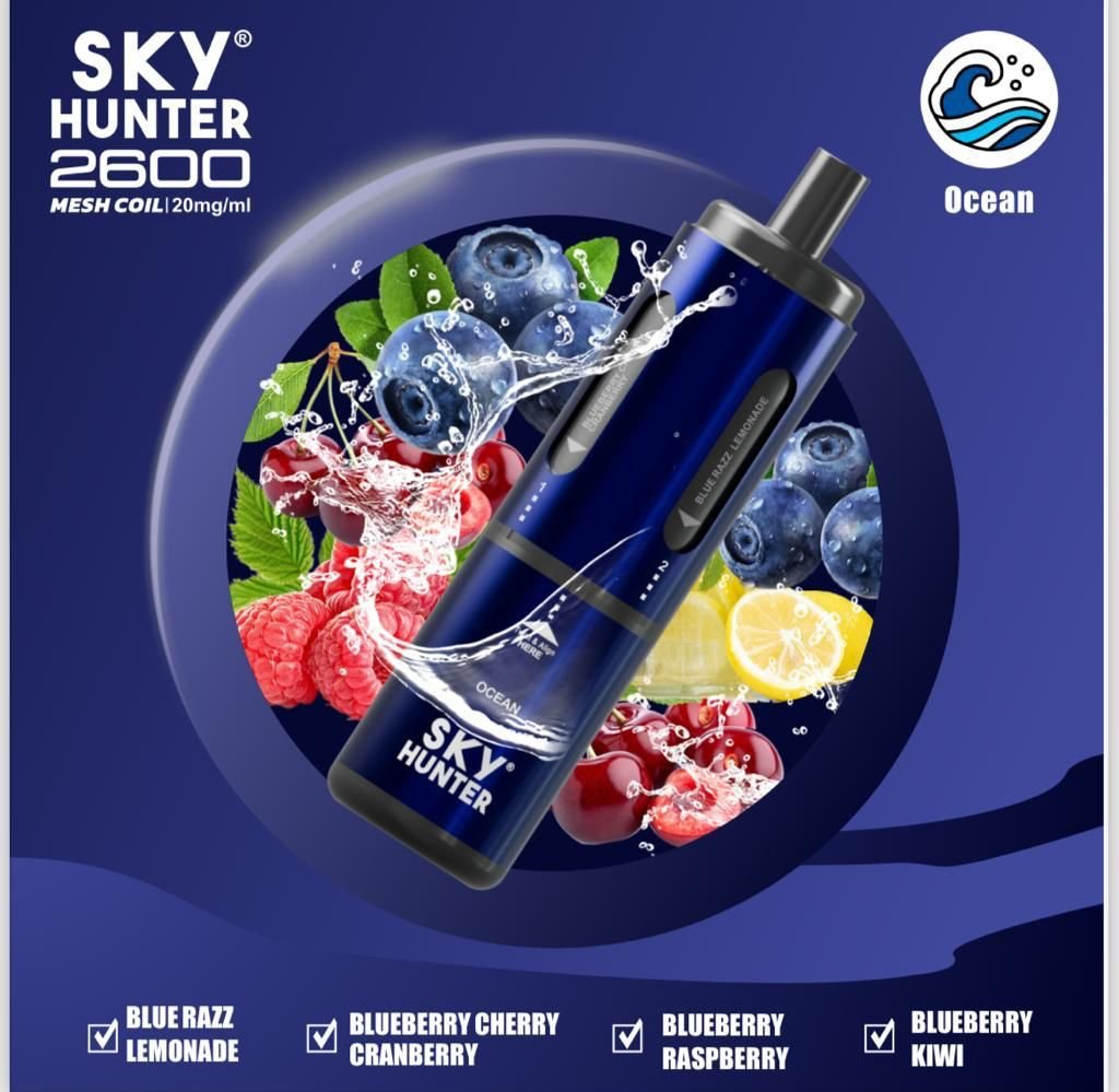 4 In 1 Sky Hunter 2600 Puffs Disposable Vape Pod Kit Theno1Plugshop 779812