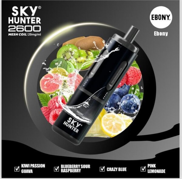 4 in 1 Sky Hunter 2600 Puffs Disposable Vape Pod Kit - 20MG