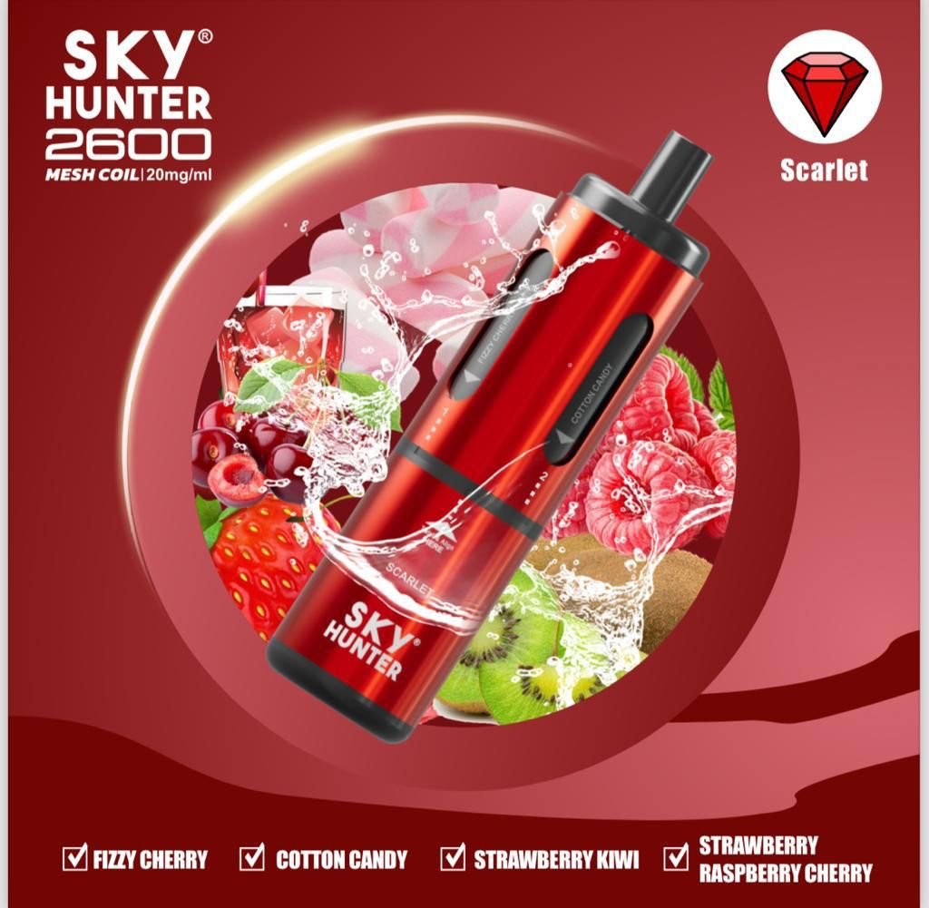 4 In 1 Sky Hunter 2600 Puffs Disposable Vape Pod Kit Theno1Plugshop 989269 98Be62Cb 3C52 40F0 843F 3431D89406E6
