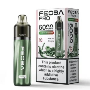 Feoba Pro 6000+ Vape kit - Image 13