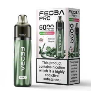 Feoba Pro 6000+ Vape kit - Image 9