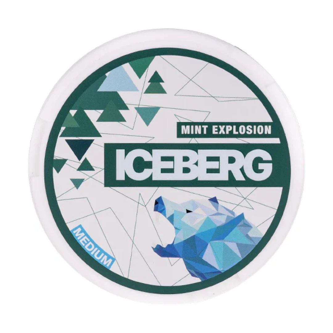 Mint Explosion Nicotine Pouches - Image 1